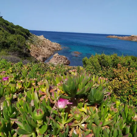 Apartment Cala Rossa Isola Rossa